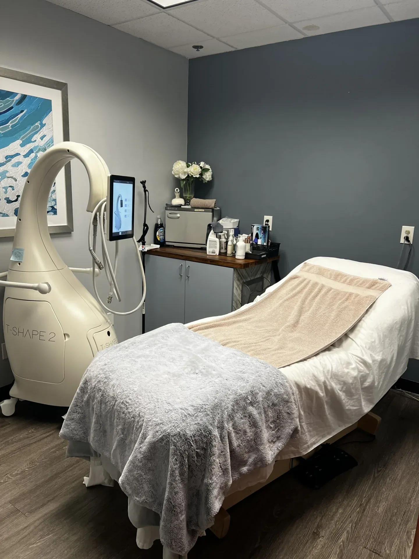 Treatment room at Elemental Esthetics in Creve Coeur, Missouri